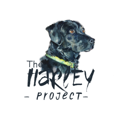 The Harley Project